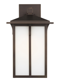 Tomek One Light Outdoor Wall Lantern in Antique Bronze (1|8752701EN371)