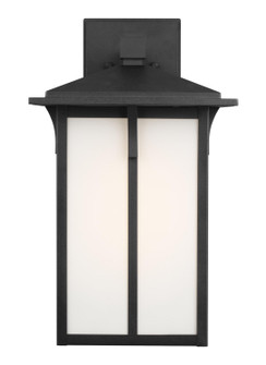 Tomek One Light Outdoor Wall Lantern in Black (1|8752701EN312)
