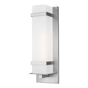 Alban One Light Outdoor Wall Lantern in Satin Aluminum (1|872070104)