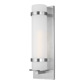 Alban One Light Outdoor Wall Lantern in Satin Aluminum (1|8718301EN304)