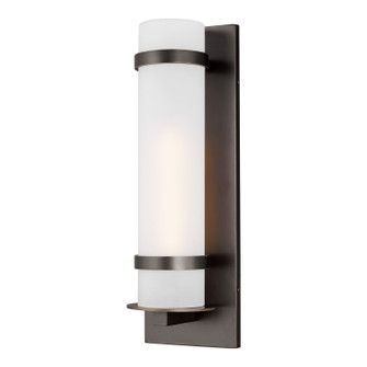 Alban One Light Outdoor Wall Lantern in Antique Bronze (1|871830171)