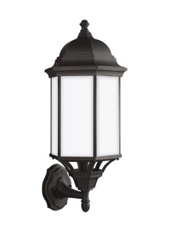 Sevier One Light Outdoor Wall Lantern in Antique Bronze (1|8638751EN371)