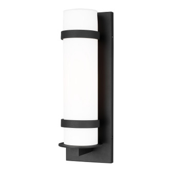 Alban One Light Outdoor Wall Lantern in Black (1|8618301EN312)