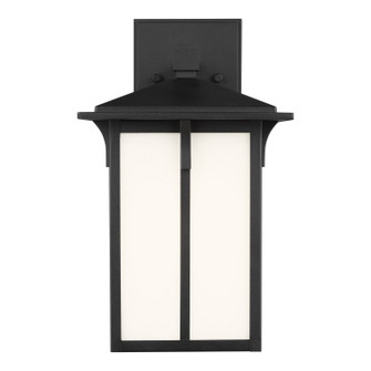 Tomek One Light Outdoor Wall Lantern in Black (1|855270112)