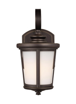 Eddington One Light Outdoor Wall Lantern in Antique Bronze (1|8519301EN371)