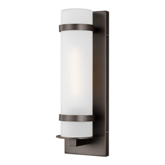 Alban One Light Outdoor Wall Lantern in Antique Bronze (1|8518301EN371)