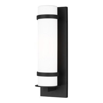 Alban One Light Outdoor Wall Lantern in Black (1|8518301EN312)