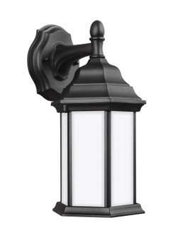 Sevier One Light Outdoor Wall Lantern in Black (1|8338751EN312)
