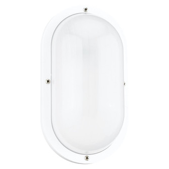 Bayside One Light Outdoor Wall Lantern in White (1|833515)