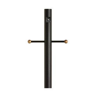 Outdoor Posts Post with Ladder Rest and Photo Cell in Black (1|811412)