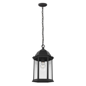 Sevier One Light Outdoor Pendant in Black (1|623870112)