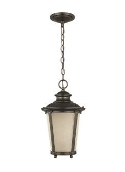 Cape May One Light Outdoor Pendant in Burled Iron (1|62240EN3780)