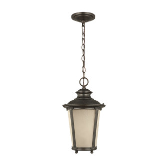 Cape May One Light Outdoor Pendant in Burled Iron (1|62240780)