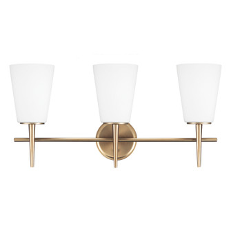 Driscoll Three Light Wall / Bath in Satin Brass (1|4440403848)