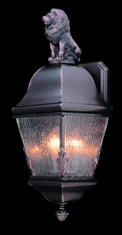 Coeur De Lion Three Light Exterior Wall Mount in Iron (8|9605IRON)