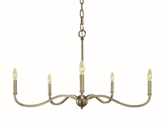 Heidelberg Five Light Chandelier in Iron (8|5643IRON)