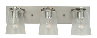 Mercer Three Light Bath in Satin Pewter with Polished Nickel (8|4853SPPNCS)