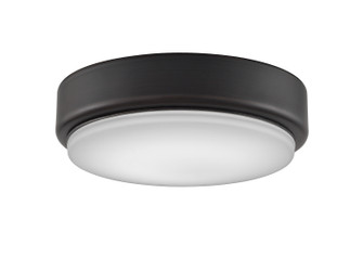 Levon Custom One Light Fan Light Kit in Dark Bronze (26|LK7912BDZ)