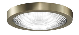 Spitfire One Light Fan Light Kit in Brushed Satin (26|LK6721BBS)