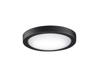 Spitfire One Light Fan Light Kit in Black (26|LK6721BBL)