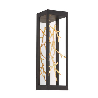 Aerie LED Wall Sconce in Black and Gold (40|45699016)