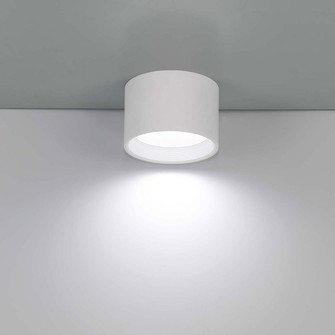 BENTON BENTON,1LT LED FLUSH,SML,WHITE in White (40|32683011)