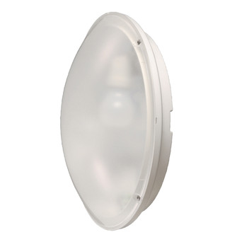 Mito One Light In Wall in Clear (40|23910027)