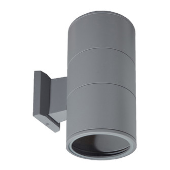 Outdoor Two Light Outdoor Wall Mount in Grey (40|19203010)