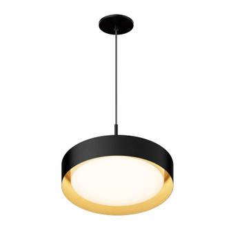 Echo LED Pendant in Black / Gold (86|E51013BKGLD)