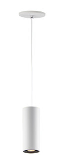 Dwell LED Pendant in White (86|E25004WT)