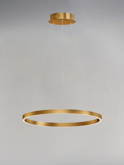 Groove WiZ LED Pendant in Gold (86|E22724GLD)