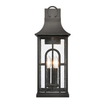 Triumph Three Light Outdoor Wall Sconce in Textured Black (45|896033)