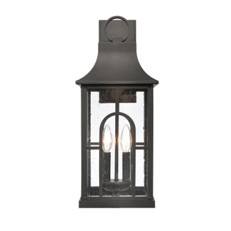 Triumph Two Light Outdoor Wall Sconce in Textured Black (45|896012)