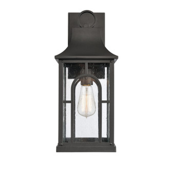 Triumph One Light Outdoor Wall Sconce in Textured Black (45|896001)