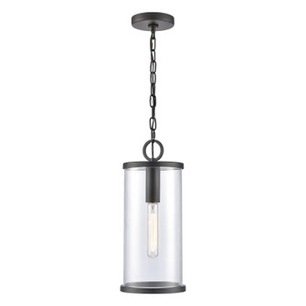 Hopkins One Light Outdoor Hanging Lantern in Charcoal Black (45|894951)