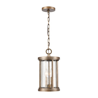Brison Two Light Outdoor Pendant in Vintage Brass (45|893952)