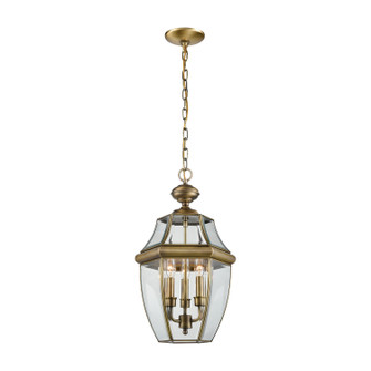 Ashford Three Light Outdoor Pendant in Antique Brass (45|8603EH89)