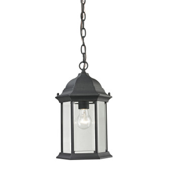 Spring Lake One Light Outdoor Pendant in Matte Textured Black (45|8601EH65)