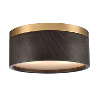 Engel Two Light Flush Mount in Satin Brass (45|823332)