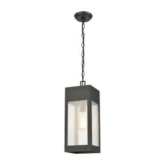 Angus One Light Outdoor Pendant in Charcoal (45|573031)