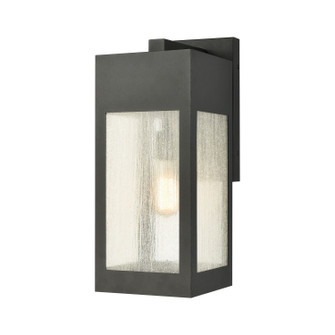 Angus One Light Outdoor Wall Sconce in Charcoal (45|573021)
