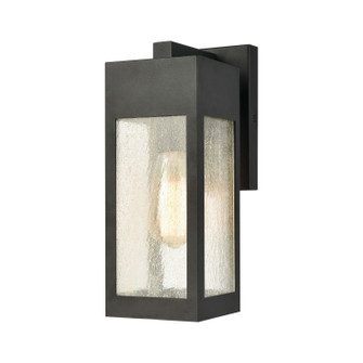 Angus One Light Outdoor Wall Sconce in Charcoal (45|573001)