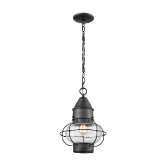 Onion One Light Outdoor Pendant in Oil Rubbed Bronze (45|571831)