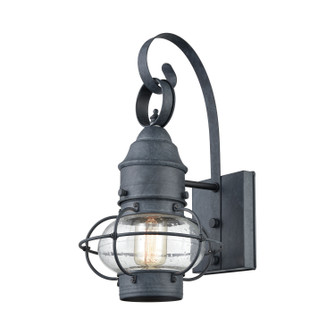 Onion One Light Outdoor Wall Sconce in Aged Zinc (45|571701)