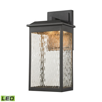Newcastle LED Outdoor Wall Sconce in Textured Matte Black (45|45201LED)