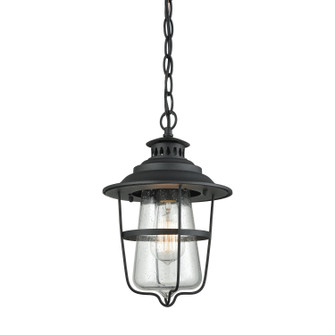 San Mateo One Light Outdoor Pendant in Textured Matte Black (45|451211)