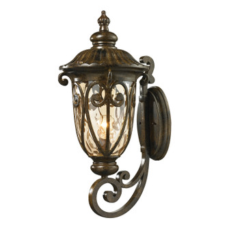 Logansport One Light Outdoor Wall Sconce in Hazelnut Bronze (45|450721)