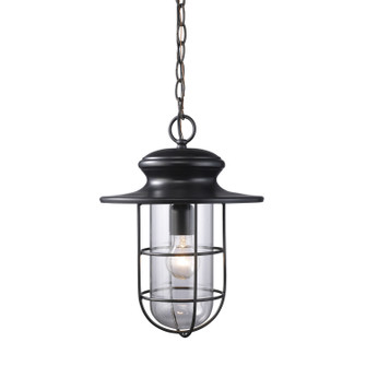 Portside One Light Outdoor Pendant in Matte Black (45|422861)