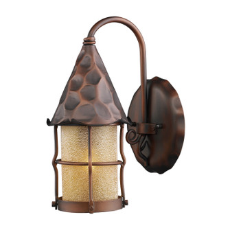 Rustica One Light Outdoor Wall Sconce in Antique Copper (45|381AC)