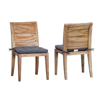 Teak Cushion (Set of 2) in Gray (45|2318502SGO)